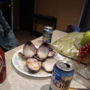 Meet your Posher, Carmen